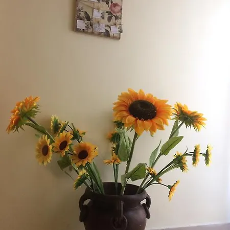 Apartment Alle Antiche Mura Del Vicolo Palermo