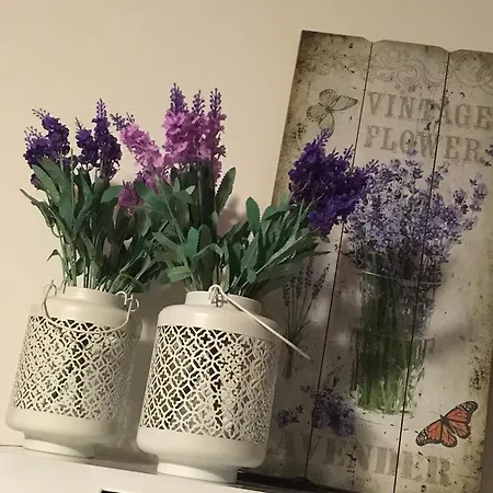 Alle Antiche Mura Del Vicolo *